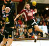 Bild-7