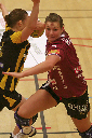 HIF 029