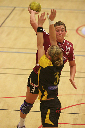 HIF 039